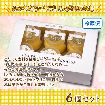 ふるさと納税 東金市 一度食べたら忘れられない美味しさ!みのりとろ〜りプリン ぷれみあむ 6個セット