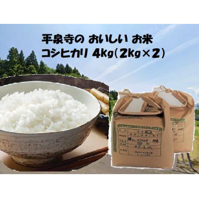 ふるさと納税 勝山市 [令和7年度産]コシヒカリ4kg