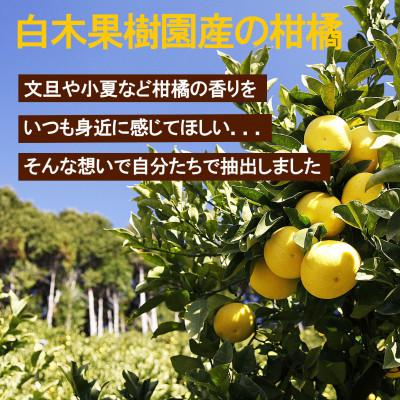 ふるさと納税 土佐市 高知県産　文旦と小夏のアロマオイルセット　各5ml |  | 01