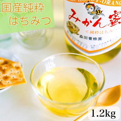 ふるさと納税 有田市 国産純粋はちみつ(みかん蜜)1.2kg×1瓶 | 