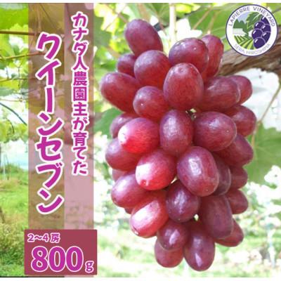 ふるさと納税 世羅町 [カナダ人農園主の真心を込めた]皮ごと食べられるクイーンセブン約0.8kg