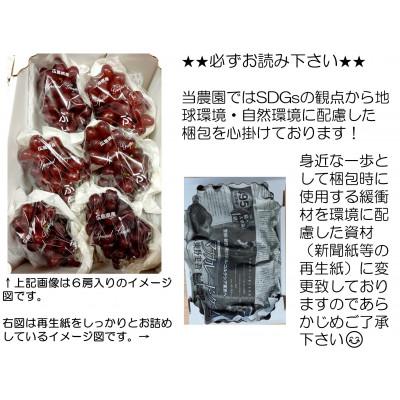 ふるさと納税 世羅町 【カナダ人農園主の真心を込めた】皮ごと食べられるクイーンセブン約1.6kgの画像