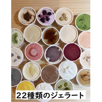 ふるさと納税 江別市 北海道江別ジェラートおまかせ22種類セット &lt;80ml×22個&gt;