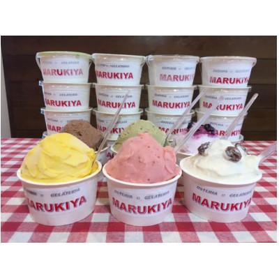 ふるさと納税 江別市 北海道江別ジェラートおまかせ22種類セット  <80ml×22個> |  | 01