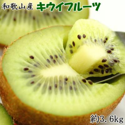 ふるさと納税 広川町 和歌山の下津で採れたキウイフルーツ約3.6kg(玉数おまかせ・秀品)(広川町)