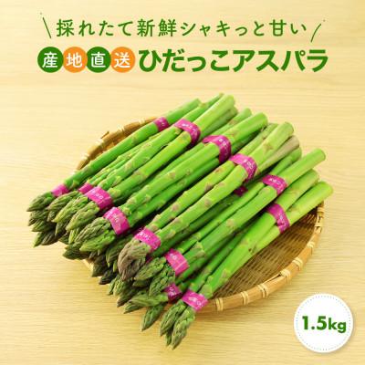 ふるさと納税 高山市 [2026年度先行受付]ひだっこアスパラガス1.5kg