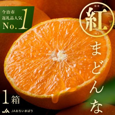 ふるさと納税 今治市 【先行受付】紅まどんな(化粧箱入)3L〜L　10〜15玉　11月下旬〜12月下旬にお届け　