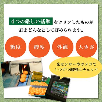 ふるさと納税 今治市 【先行受付】紅まどんな(化粧箱入)3L〜L　10〜15玉　11月下旬〜12月下旬にお届け　 |  | 02