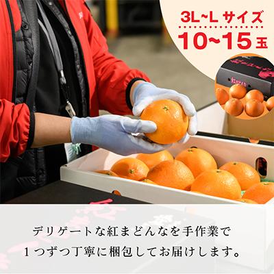 ふるさと納税 今治市 【先行受付】紅まどんな(化粧箱入)3L〜L　10〜15玉　11月下旬〜12月下旬にお届け　 |  | 03