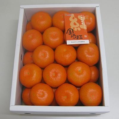 ふるさと納税 さぬき市 小原紅早生みかん(金時紅) 約2.5kg化粧箱入り