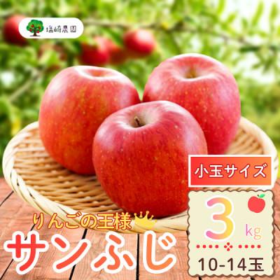 ふるさと納税 飯山市 [先行予約]家庭用 サンふじ [小玉] 約3kg(10〜14個入り)[出荷:2025年12月中旬〜]