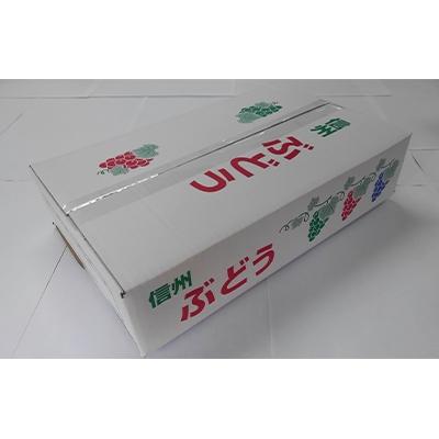 ふるさと納税 長野市 【2027年発送先行受付】長野県長野市産種なし巨峰4kg(6〜12房入り) |  | 01