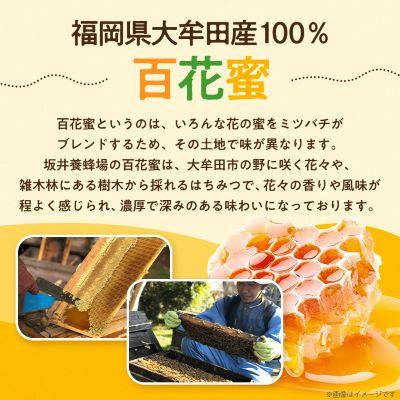 ふるさと納税 大牟田市 坂井養蜂場　みつばちの雫　1000g |  | 01