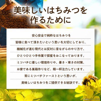 ふるさと納税 大牟田市 坂井養蜂場　みつばちの雫　1000g |  | 02