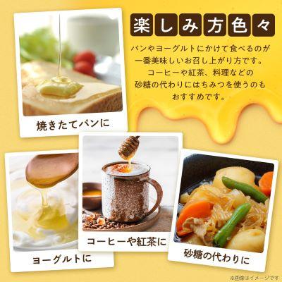 ふるさと納税 大牟田市 坂井養蜂場　みつばちの雫　1000g |  | 03