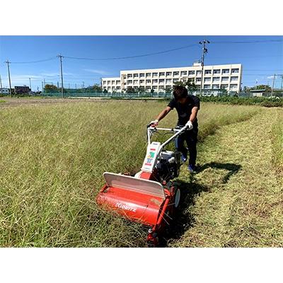 ふるさと納税 江南市 遊休農地等の草刈り作業(100坪、330平方メートルまで)
