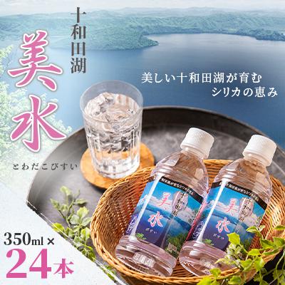 ふるさと納税 十和田市 十和田湖美水350ml×24本