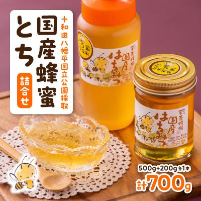 ふるさと納税 十和田市 国産蜂蜜とち詰合せ(200g・500g)