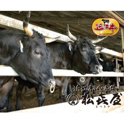 ふるさと納税 大津市 松喜屋近江牛切り落し　約500g |  | 02