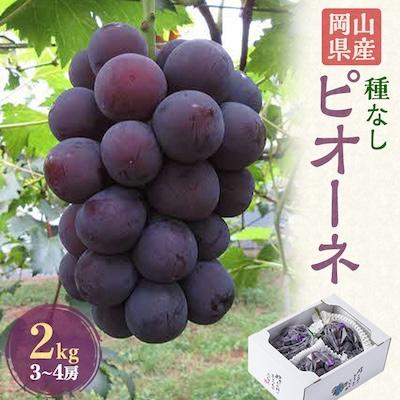 ふるさと納税 美作市 2026年先行予約 岡山県産 ピオーネ2kg箱(3〜4房)