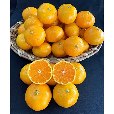 ふるさと納税 湯浅町 [先行受付][数量限定][赤秀特選品] 有田みかん2Sサイズ約5kg