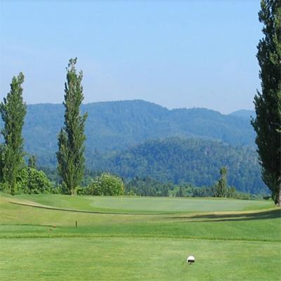 ふるさと納税 村山市 ゴルフ場　さくらんぼカントリークラブ利用補助券　6000円分 |  | 02