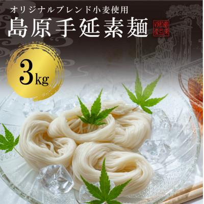 ふるさと納税 南島原市 島原手延そうめん60束 麺匠が仕上げる強いコシとのど越し