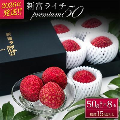 ふるさと納税 新富町 [マツコの知らない世界で紹介]先行受付 希少!国産「新富ライチpremium50」50g以上×8玉