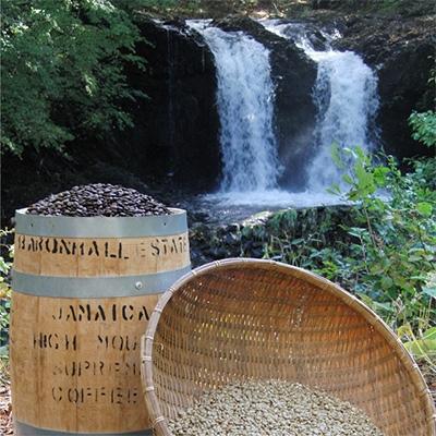 ふるさと納税 富士吉田市 【訳あり】 コーヒー 粉200g×4袋計800g 自家焙煎珈琲 スペシャルティコーヒー |  | 01
