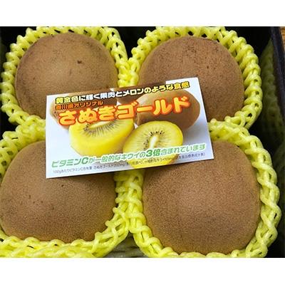 ふるさと納税 観音寺市 香川県オリジナルキウイ「さぬきゴールド」大玉約1.2kg