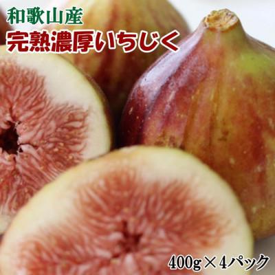 ふるさと納税 紀の川市 [厳選・産地直送]和歌山紀の川産の完熟濃厚いちじく400g×4パック入り