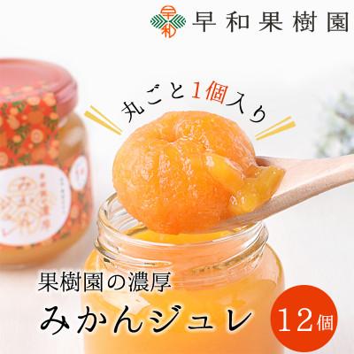 ふるさと納税 有田市 [早和果樹園]濃厚みかんジュレ みかんまるごと1個入×12個