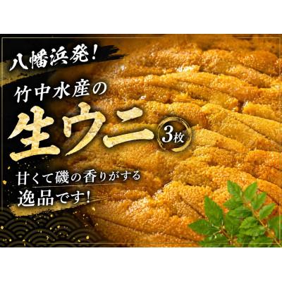 ふるさと納税 八幡浜市 八幡浜発!竹中水産の「宇和海産上質お手軽生ウニ」3枚セット![G22-219]