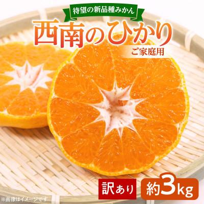 ふるさと納税 高松市 待望の新品種みかん 西南のひかり ご家庭用 約3kg