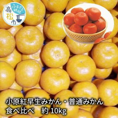 ふるさと納税 高松市 [先行受付2025年]小原紅早生みかん・普通みかん 食べ比べ 約10kg