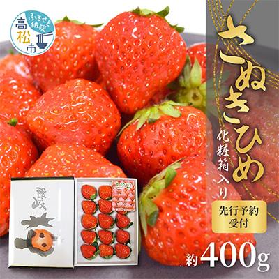 ふるさと納税 高松市 [2026年11月〜2027年1月発送]さぬきひめいちご化粧箱 約400g