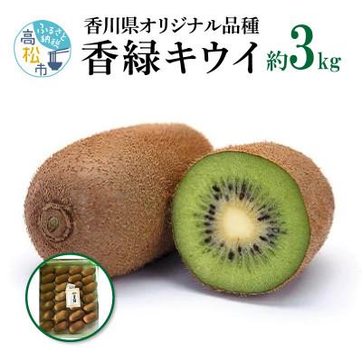 ふるさと納税 高松市 [先行受付2025年]香緑キウイ 約3kg
