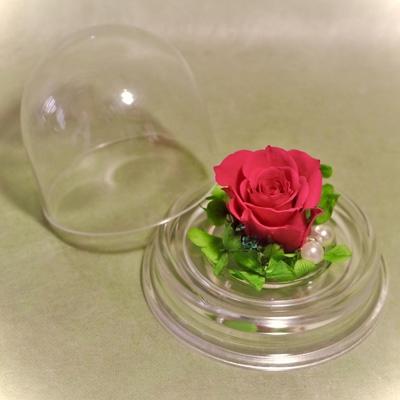 ふるさと納税 美浜町 プリザーブドフラワードーム型ミニサイズ
