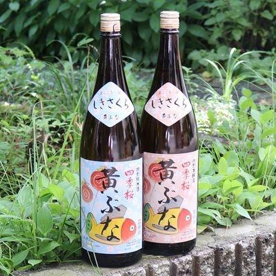 ふるさと納税 宇都宮市 四季桜 無病息災セット