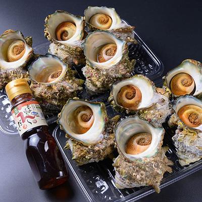 ふるさと納税 京丹後市 BBQにぴったり!天然サザエ　ボイル済み　1.6kg　大サイズ(10〜15個)　※万能ダシ付き |  | 02