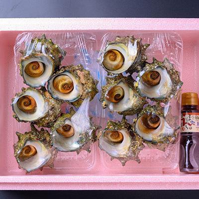 ふるさと納税 京丹後市 BBQにぴったり!天然サザエ　ボイル済み　1.6kg　大サイズ(10〜15個)　※万能ダシ付き |  | 03