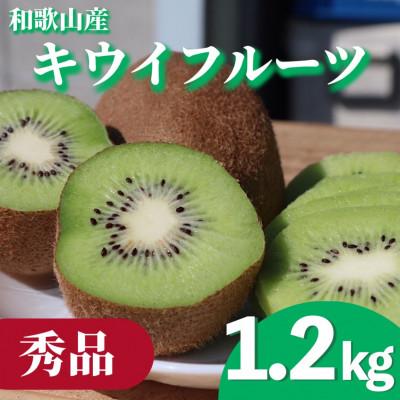 ふるさと納税 湯浅町 [先行受付][まごころ手選別]和歌山産 キウイフルーツ 約1.2kg(サイズ混合) 秀品