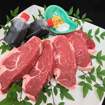 ふるさと納税 土佐市 老舗割烹の板前が惚れ込んだ土佐和牛特選ヒレ肉400g | 