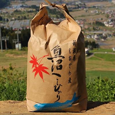 ふるさと納税 南魚沼市 生産者限定 南魚沼しおざわ産コシヒカリ 玄米5kg