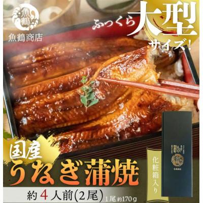 ふるさと納税 広川町 大型サイズ ふっくら柔らか国産うなぎ蒲焼き 2尾
