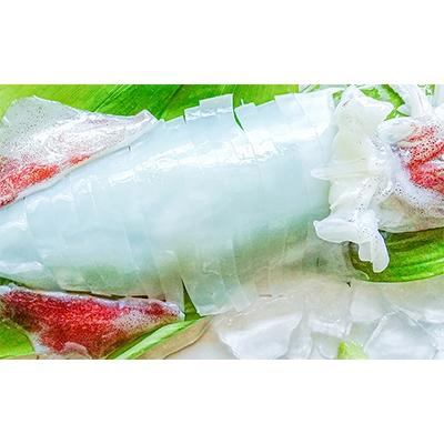 ふるさと納税 宮津市 朝どれ白いか 1kg (中サイズ 3〜6杯) [京都産 刺身OK]