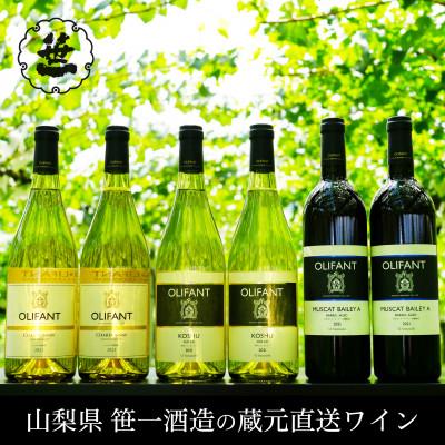 ふるさと納税 大月市 [蔵元直送]笹一酒造・OLIFANT(オリファン)ワイン 750ml×6本セット・山梨県大月市