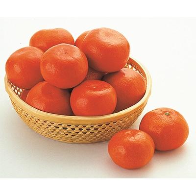 ふるさと納税 高松市 [先行受付2025年]小原紅早生みかん(L〜Sサイズ) 約5kg