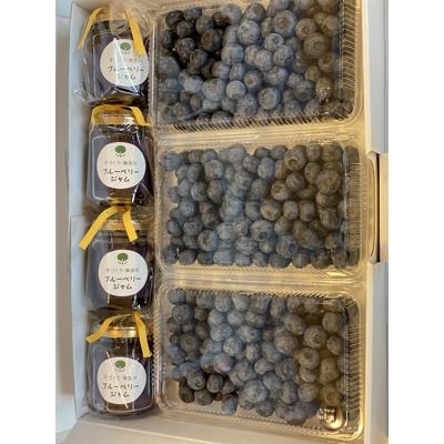 ふるさと納税 土浦市 [栽培期間中農薬不使用]プレミアム大粒!生ブルーベリーと無添加の手作りブルーベリージャムセット