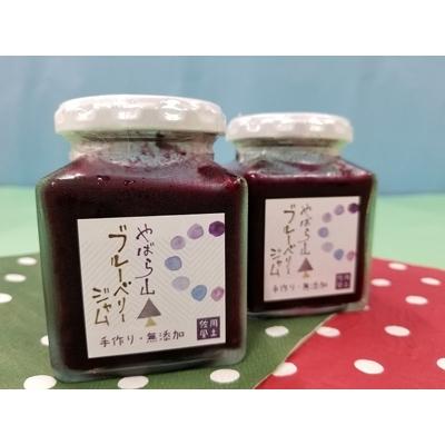 ふるさと納税 佐用町 ブルーベリージャムと ジャム作りセット